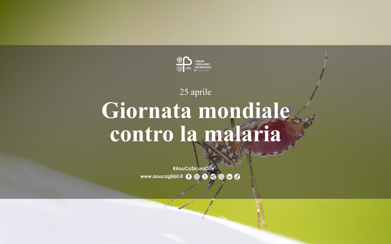 Malaria, in Italia tra le principali malattia riemergenti