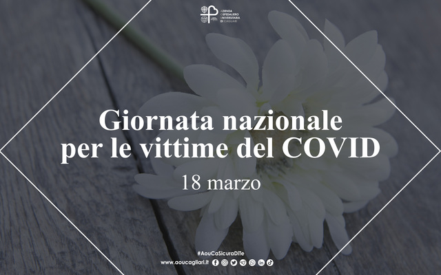 Covid-19, il virus che ha lasciato il segno