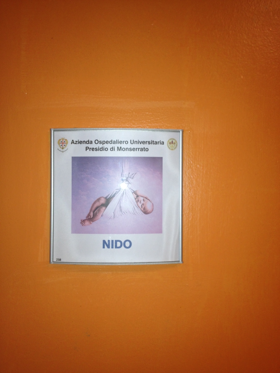 Tin: 14-15 giugno 2013, trasferimento al Blocco Q
