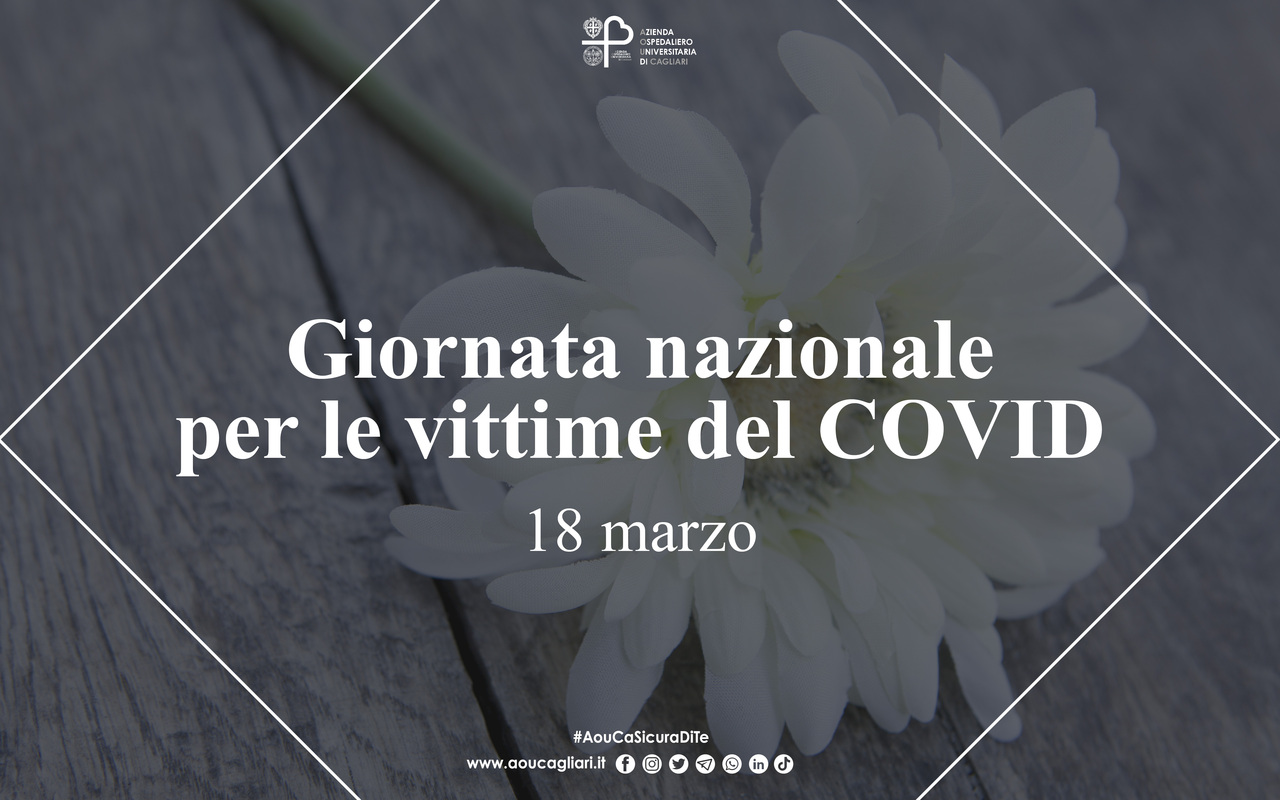 Covid-19, il virus che ha lasciato il segno