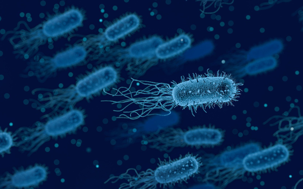 I rischi dell'antibiotico resistenza, a cosa andiamo incontro