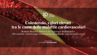 Colesterolo, valori elevati tra le cause delle malattie cardiovascolari