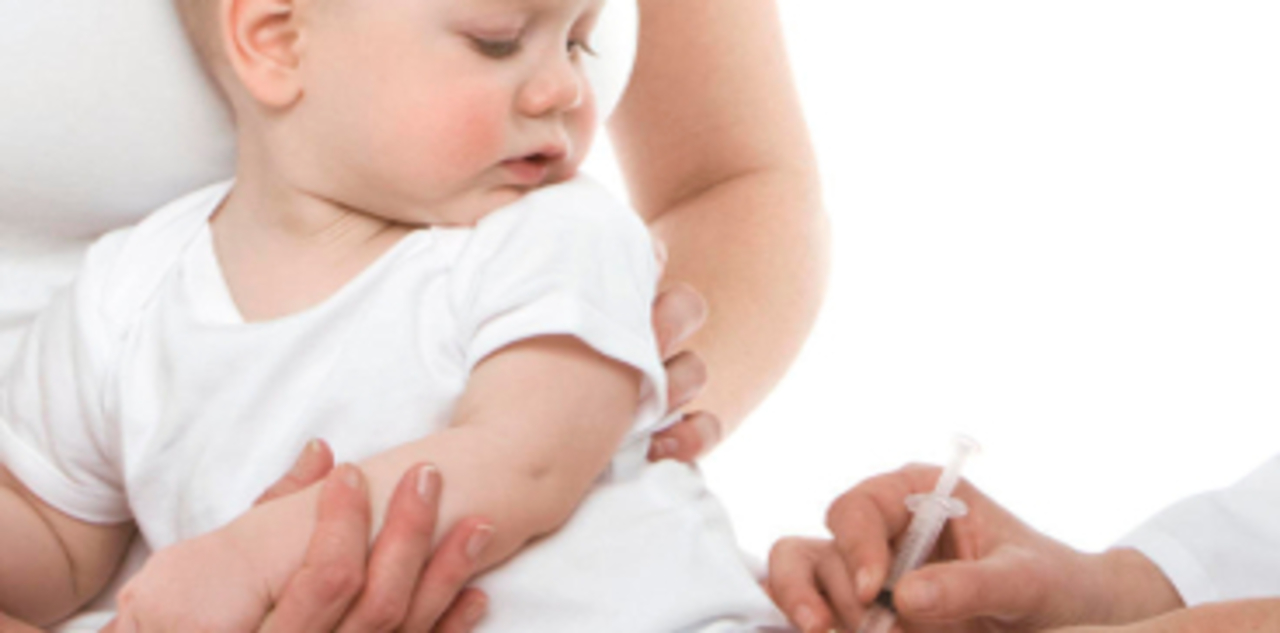vaccini piccolo