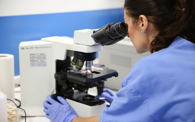 Meningite esami laboratorio