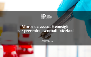 Morso da zecca, 5 consigli per prevenire eventuali infezioni