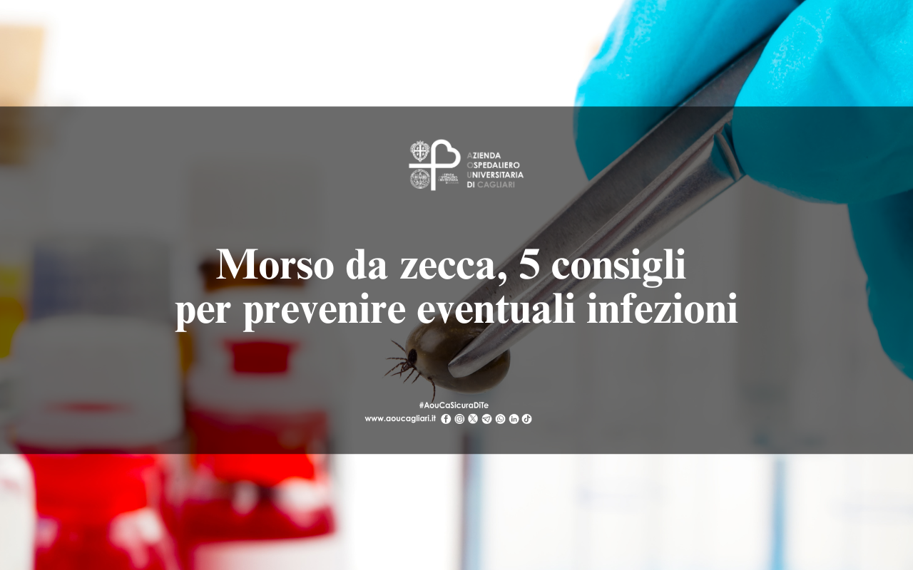 Morso da zecca, 5 consigli per prevenire eventuali infezioni