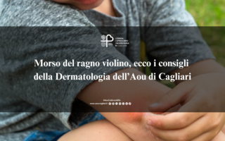 Morso del ragno violino, ecco cosa fare