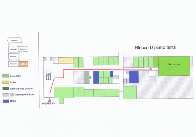Mappa Endoscopia diagnostica operativa