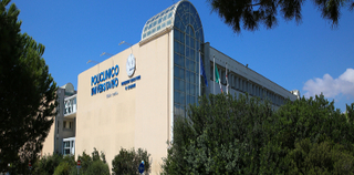 Policlinico esterno piccolo