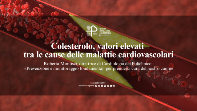 Colesterolo, valori elevati tra le cause delle malattie cardiovascolari