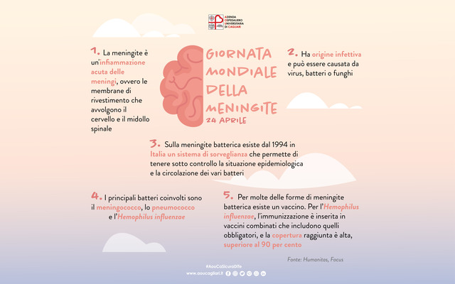 meningite 2022