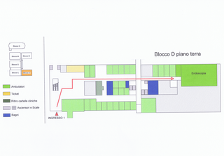 Endoscopia diagnostica operativa