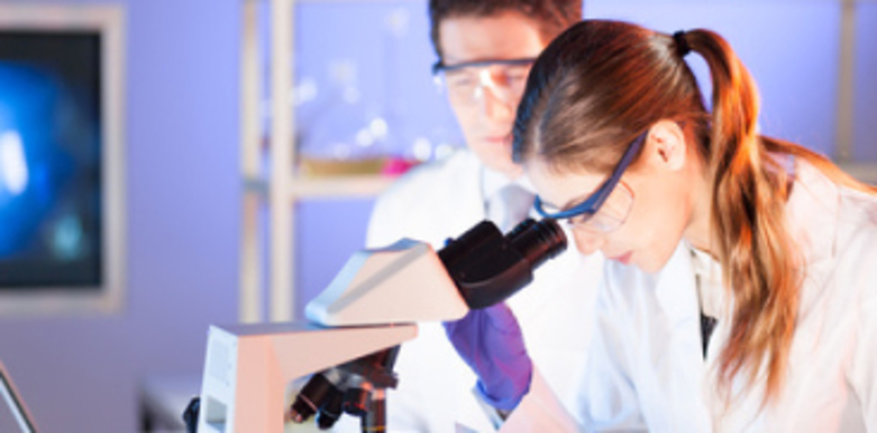 leucemia laboratori analisi piccolo