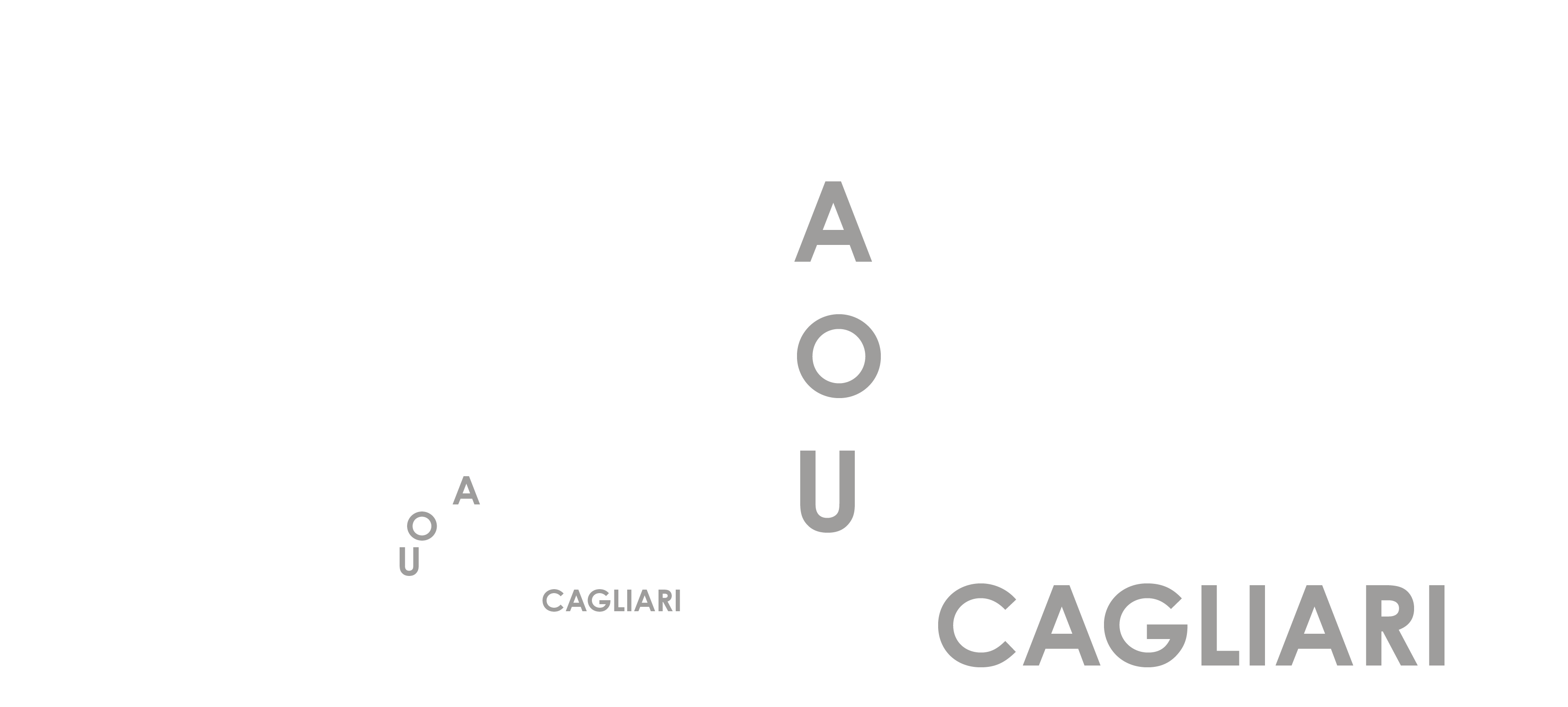 Azienda Ospedaliero-Universitaria di Cagliari